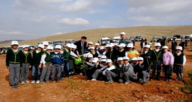 ŞEHİTKAMİL BAL ORMANI HAYATA GEÇİYOR