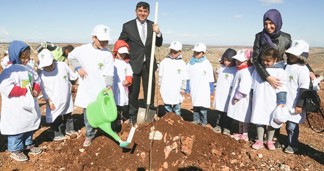 ŞEHİTKAMİL’DE ARTIK ‘BAL ORMANI’ VAR