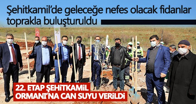 Şehitkamil’de geleceğe nefes olacak fidanlar, toprakla buluşturuldu