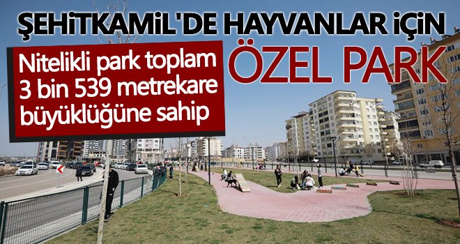 Şehitkamil'de hayvanlar için özel park