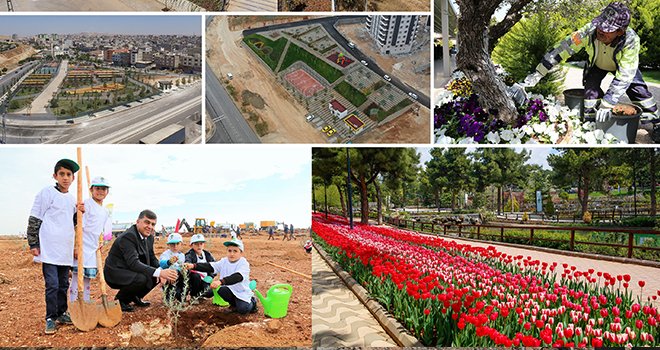 Şehitkamil'e on binlerce fidan dikildi