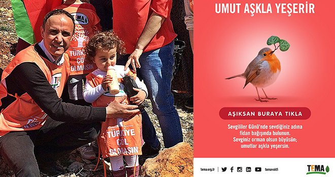 Sevgiliye hediye TEMA Vakfı’ndan fidan bağışı olsun