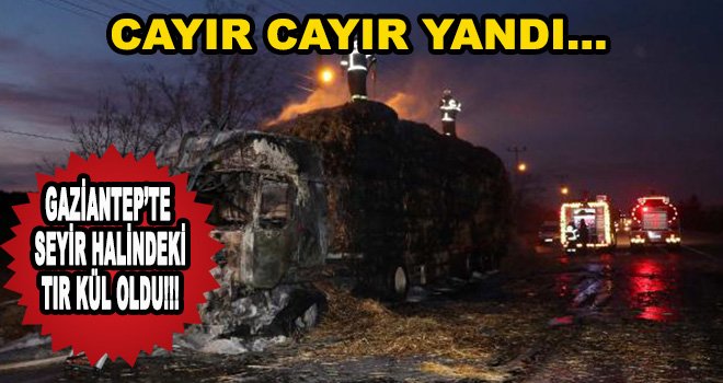 Seyir halindeki TIR alev aldı