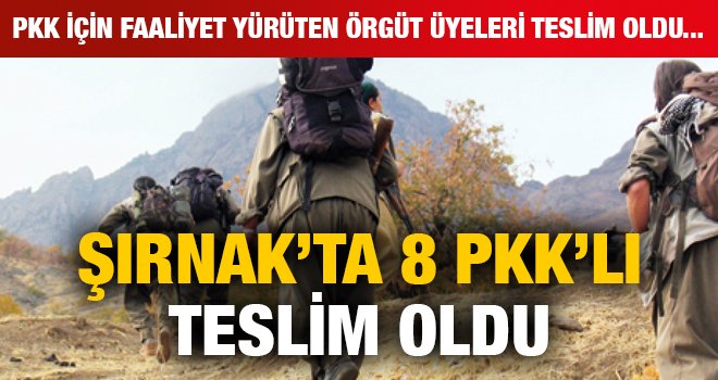 Şırnak'ta 8 PKK'lı teslim oldu