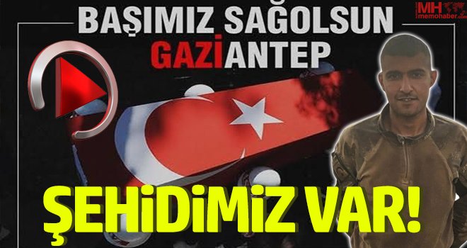 Son dakika! Gaziantep'e şehit ateşi düştü...