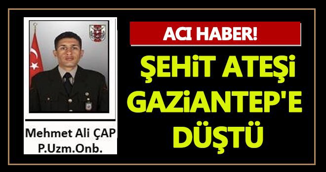Son dakika! Şehidin var Gaziantep...