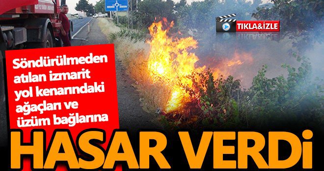 Söndürülmeden atılan izmarit yangına sebep oldu