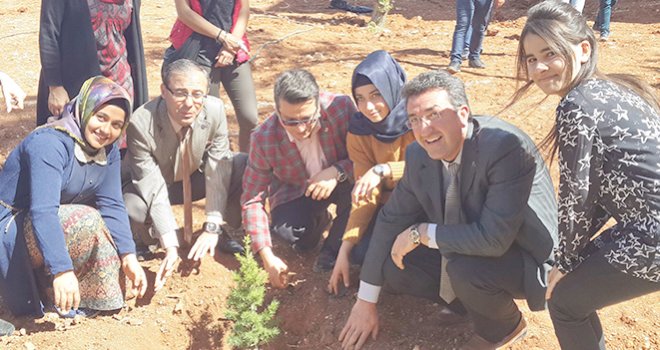 Sosyal Bilimler MYO Öğrencilerinden Ağaç Dikimi Etkinliği
