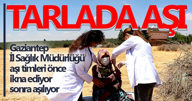 Sosyal medyadaki paylaşımlardan korkan vatandaşları aşı timleri ikna ediyor