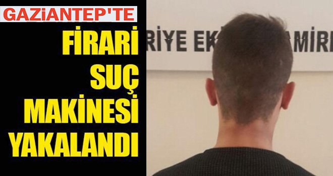 Suç makinası kıs kıvrak: 19 suç dosyası var