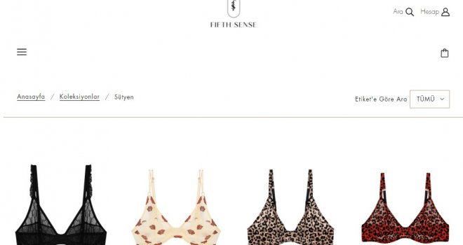 Sütyen Modelleri ile Rahat Edin