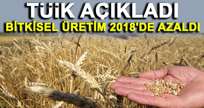 Tahıl üretimi bir önceki yıla göre azaldı 