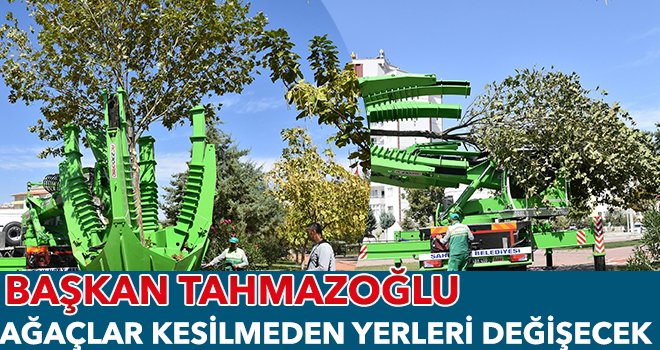Tahmazoğlu: Yeşile önem veriyoruz