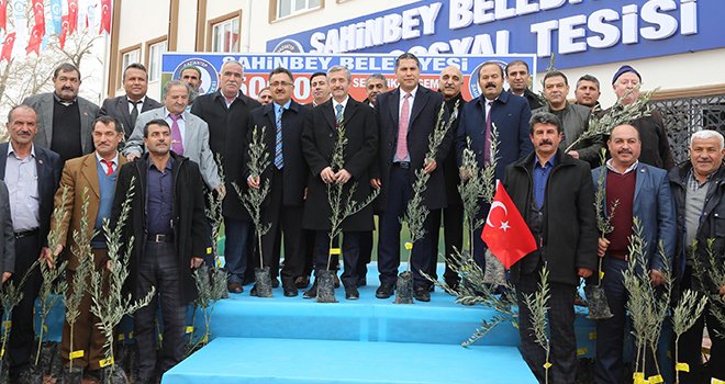 Tahmazoğlu'ndan çiftçilere 500.000 adet zeytin fidanı