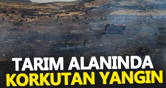 Tarım alanında çıkan yangın korkuttu!