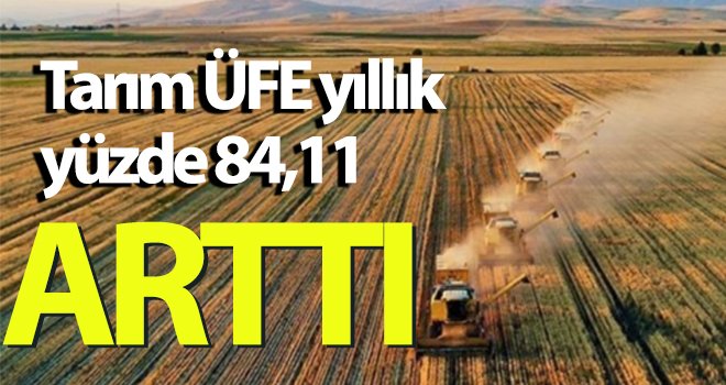 Tarım-ÜFE yıllık yüzde 84,11 arttı