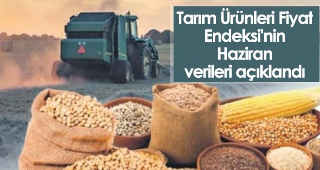 Tarım Ürünleri Fiyat Endeksi'nin Haziran verileri açıklandı