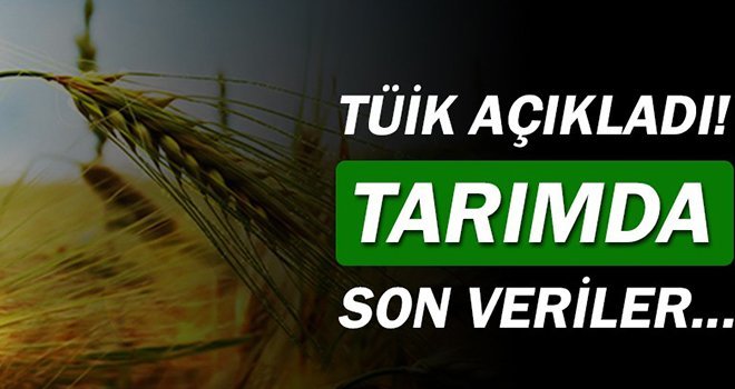 Tarım ürünlerinde fiyatlar arttı!..