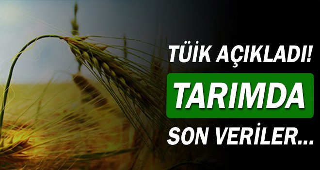 Tarım ürünlerinde fiyatlar arttı