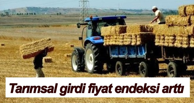Tarımsal girdi fiyat endeksi yıllık %8,99, aylık %1,10 arttı