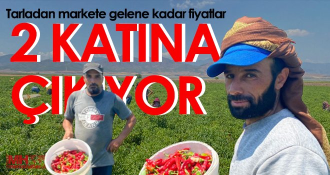 Tarladan markete fiyat 2 kat artıyor