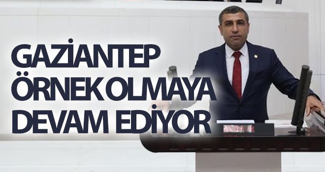 Taşdoğan’dan gazilik unvanı mesajı