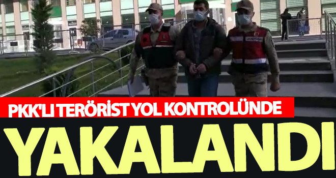 Terör örgütü PKK üyesi tutuklandı
