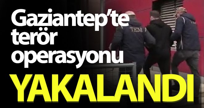 Terör örgütü üyesi yakalandı