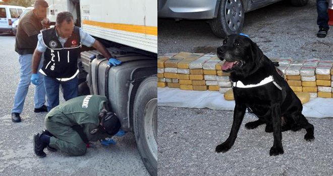 TIR'ın yedek yakıt deposundan 125,5 kilo eroin çıktı