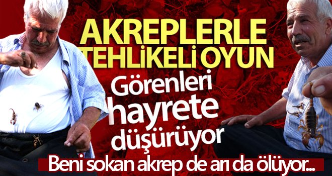 Topladığı akreplerle oyun oynuyor, üstünde gezdiriyor