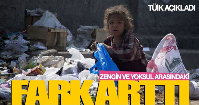 Toplam gelirin neredeyse yarısı en zenginlerin 