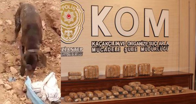 TOPRAKTA 29 KİLO EROİN ELE GEÇİRİLDİ