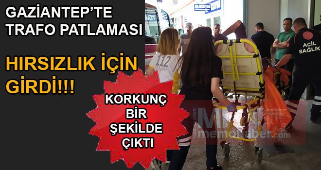 Trafoya grine hırsız canından oluyordu!
