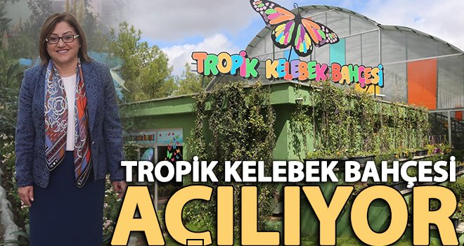 Tropik Kelebek Bahçesi Gazianteplilerin ziyaretine hazır