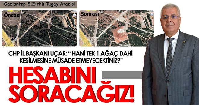 Tugay Arazisi’nde ağaç kıyımı! Şahin, güvenirliğin kaybetti