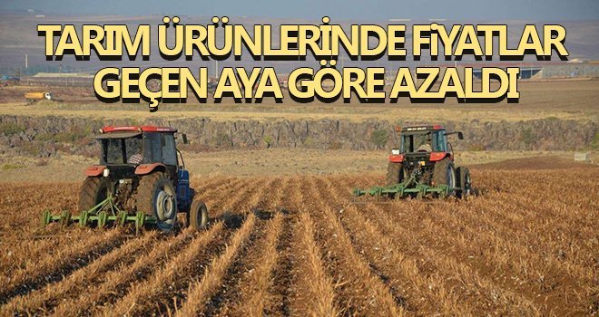 Tarım ürünlerinde fiyatlar geçen aya göre azaldı