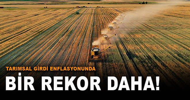 TÜİK açıkladı, tarımsal girdi enflasyonunda yeni rekor