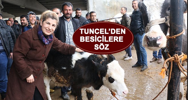 Tuncel: Meralarımız rant kapısı olmayacak