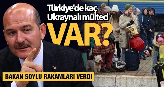 Türkiye'de kaç Ukraynalı mülteci var?