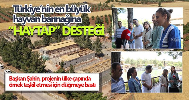 Türkiye’nin en büyük hayvan barınağına HAYTAP desteği