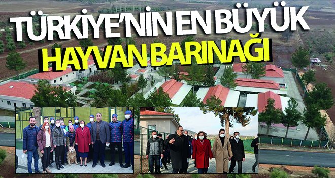 Türkiye’nin en büyük hayvan barınağının yapımı tamamlandı