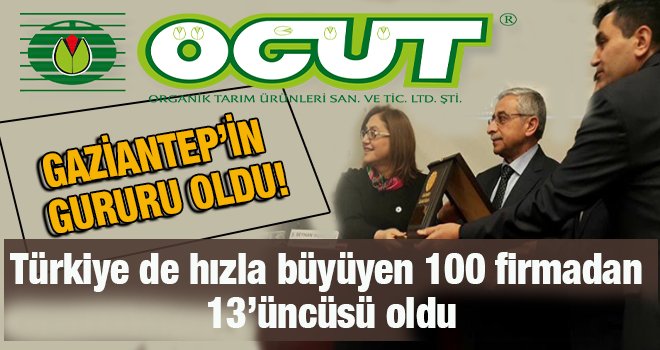 Türkiye'nin en hızlı büyüyen şirketleri belli oldu!