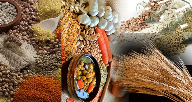 Türkiye’nin hububat ihracatında söz Güneydoğu’nun