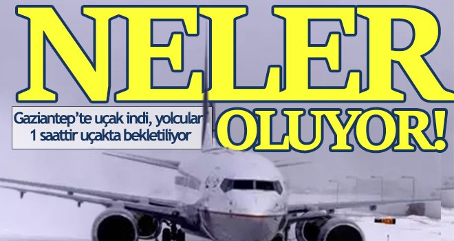 Uçak indi, yolcular 1 saattir uçakta bekletiliyor...