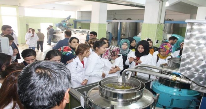 ÜNİVERSİTE ÖĞRENCİLERİNİN FİRMA ZİYARETLERİ SÜRÜYOR