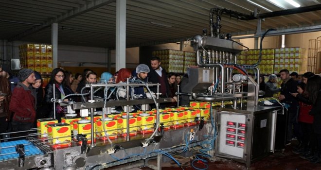 Üniversiteliler ayçiçek yağı üretimini mercek altına aldı