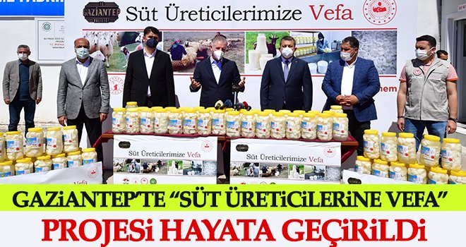 Üreticiye destek için 120 ton süt peynir yapılarak dağıtılacak