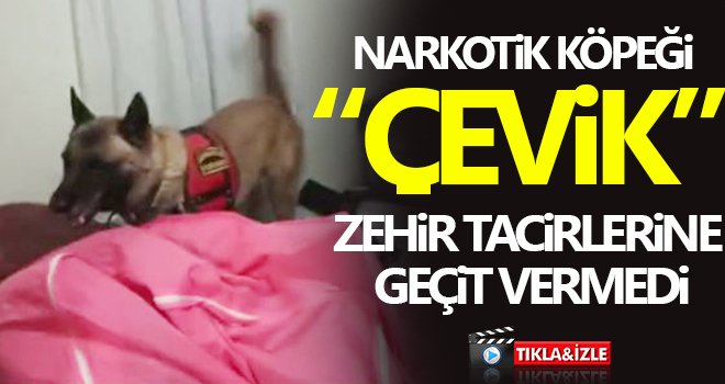 Jandarma'dan Uyuşturucu tacirlerine bir darbe daha vuruldu