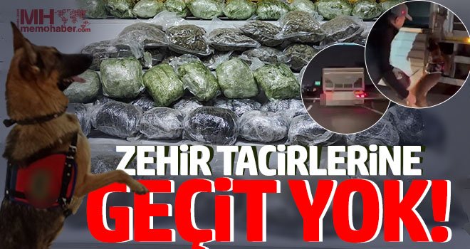 Uyuşturucuya darbe! Kamyonun gizli bölmesinden çıktı...