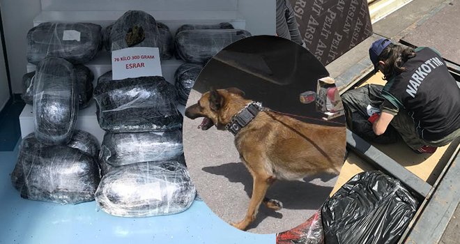 Uyuşturucuya esans yağlı kamuflaj, işe yaramadı